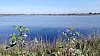 00000IMG_00000_BURST20240404095947_COVER.jpg