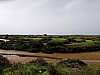 IMG_20240318_094318.jpg