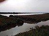 IMG_20240318_095129.jpg