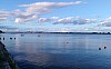 IMG_20240331_191351.jpg