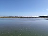 IMG_20240401_102933.jpg