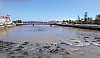 IMG_20240401_133323~2.jpg