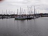 IMG_20240402_115614 (Kopie).jpg