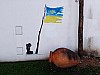 IMG_20240403_173751.jpg