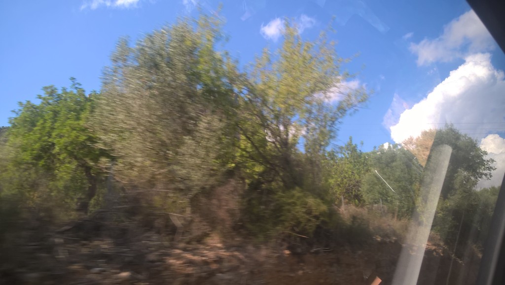 WP_20170918_15_26_38_Pro.jpg