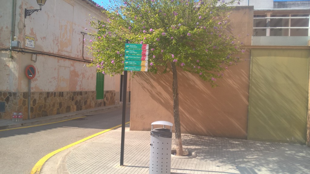 WP_20170922_11_44_00_Pro.jpg