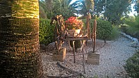 WP_20170917_19_16_31_Pro.jpg WP_20170917_19_16_31_Pro.jpg