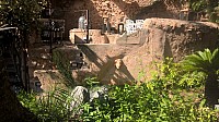 WP_20170922_11_28_16_Pro.jpg WP_20170922_11_28_16_Pro.jpg