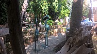 WP_20170922_11_29_28_Pro.jpg WP_20170922_11_29_28_Pro.jpg