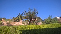 WP_20170923_10_19_29_Pro.jpg WP_20170923_10_19_29_Pro.jpg