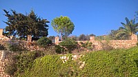 WP_20170923_10_19_43_Pro.jpg WP_20170923_10_19_43_Pro.jpg