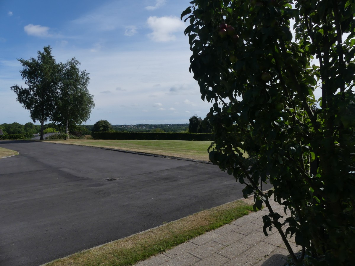 P1000176.jpg