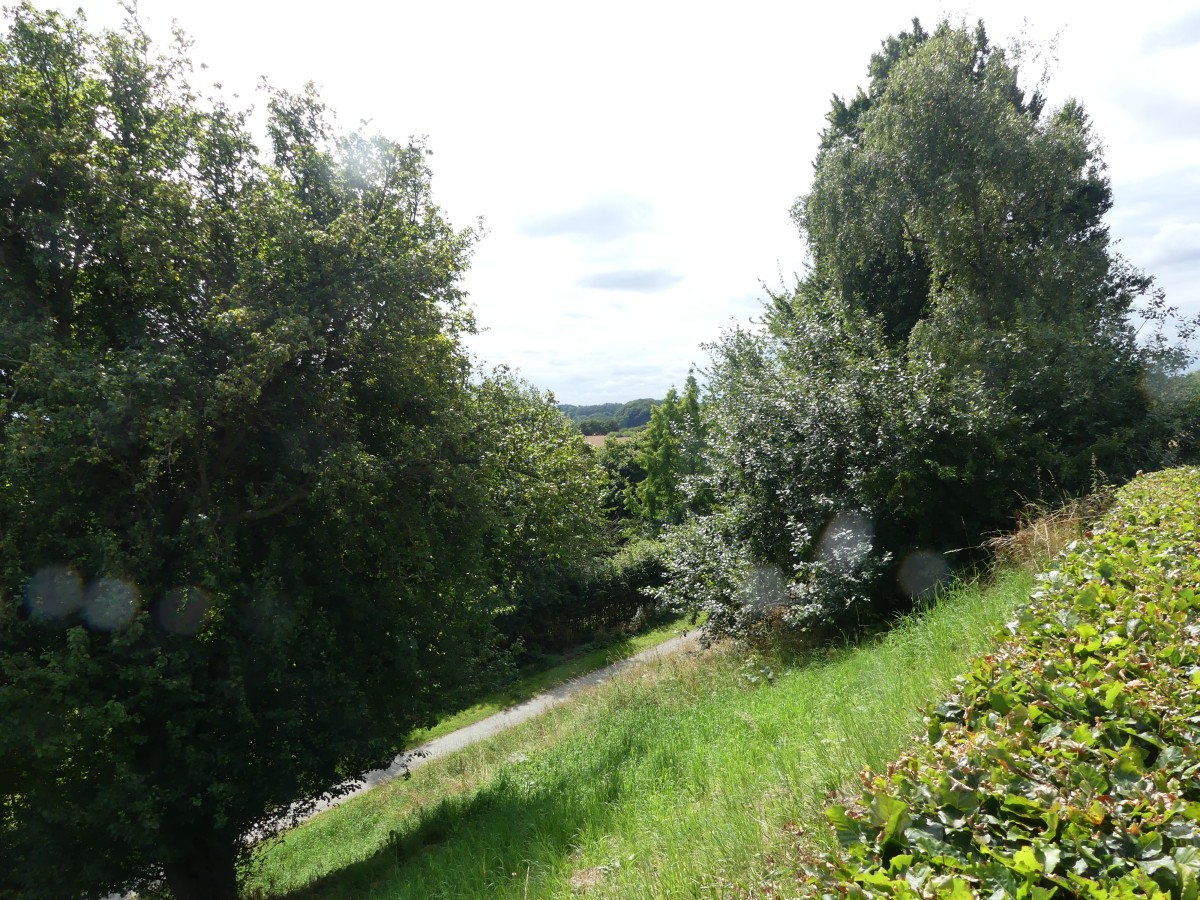 P1000183.jpg