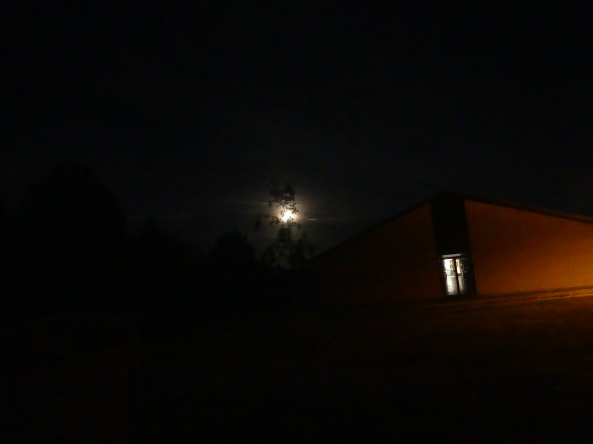 P1000187.jpg