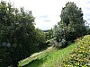 P1000183.jpg