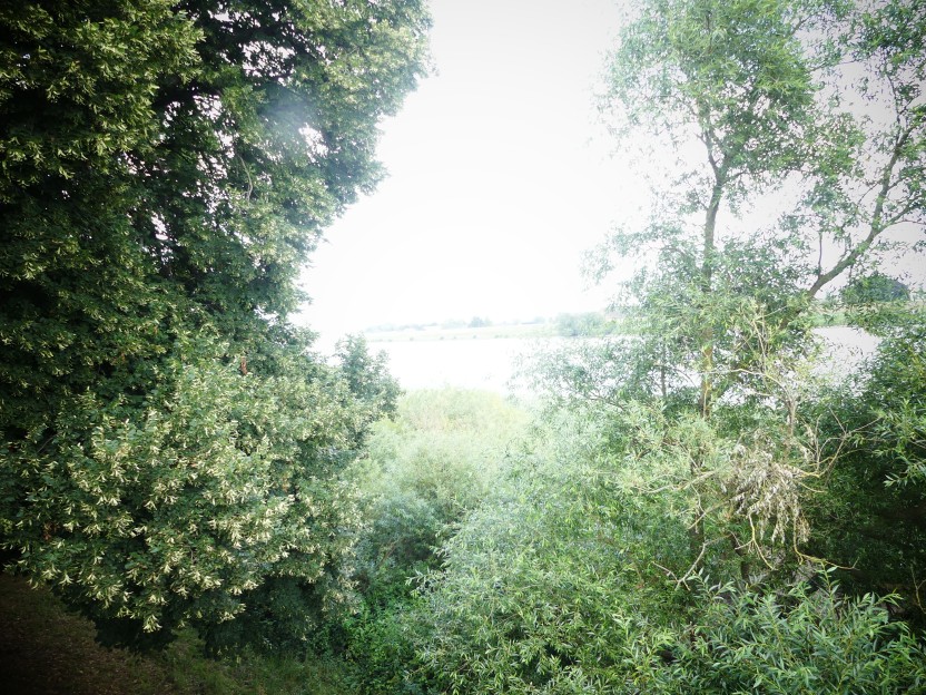 P1000124.jpg