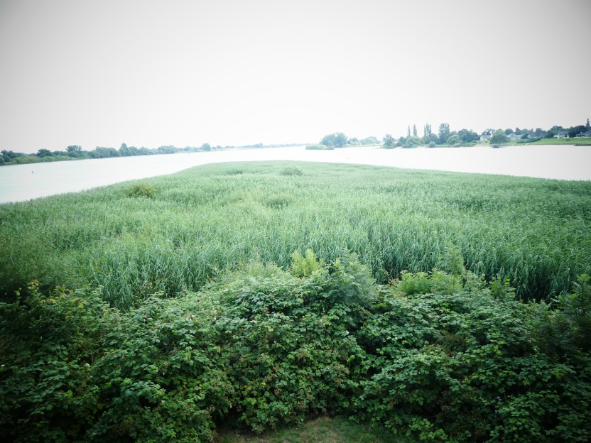 P1000128.jpg