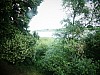 P1000127.jpg
