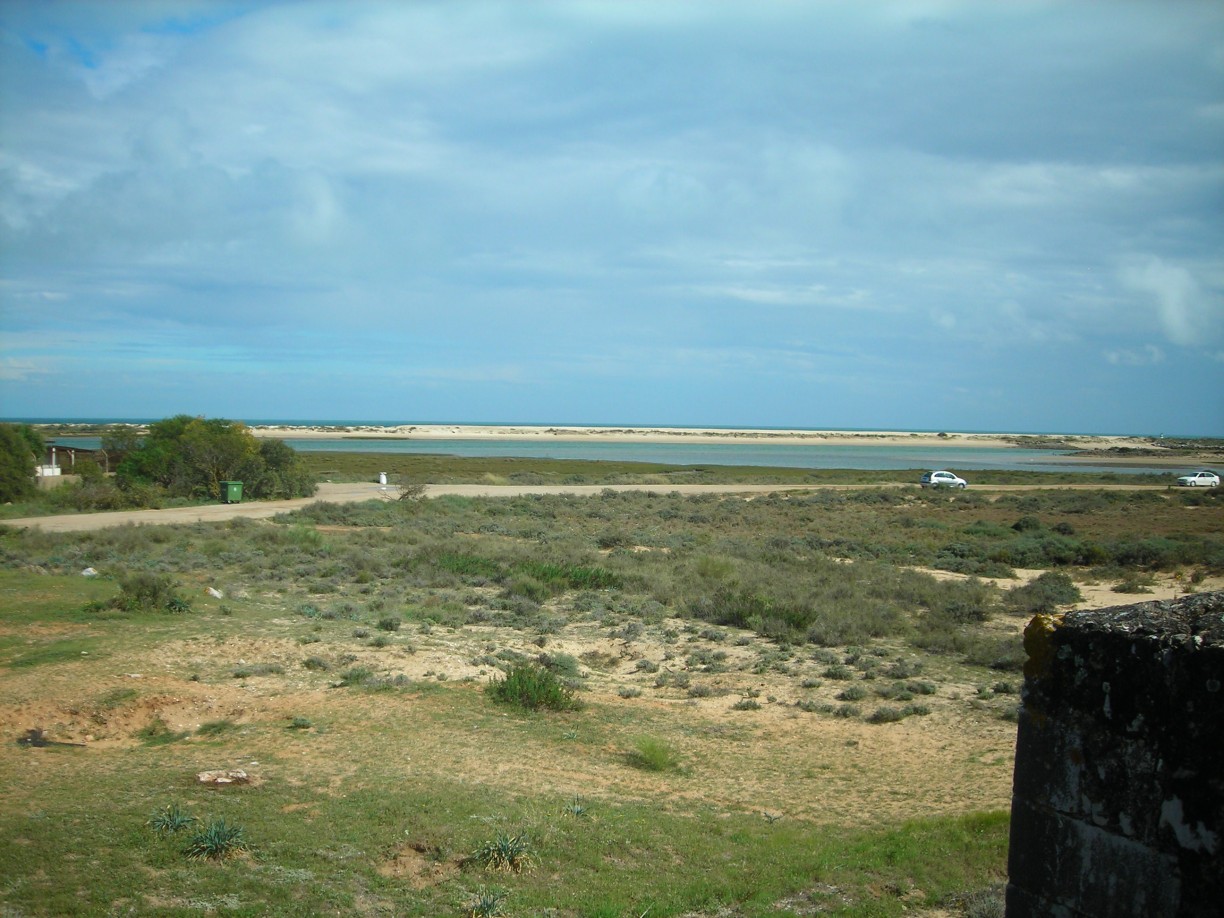 DSCN1698.jpg