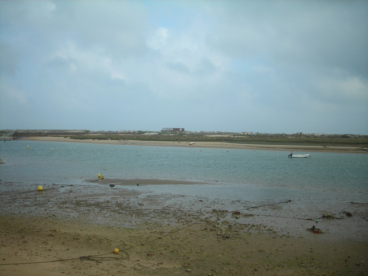 DSCN1700.jpg