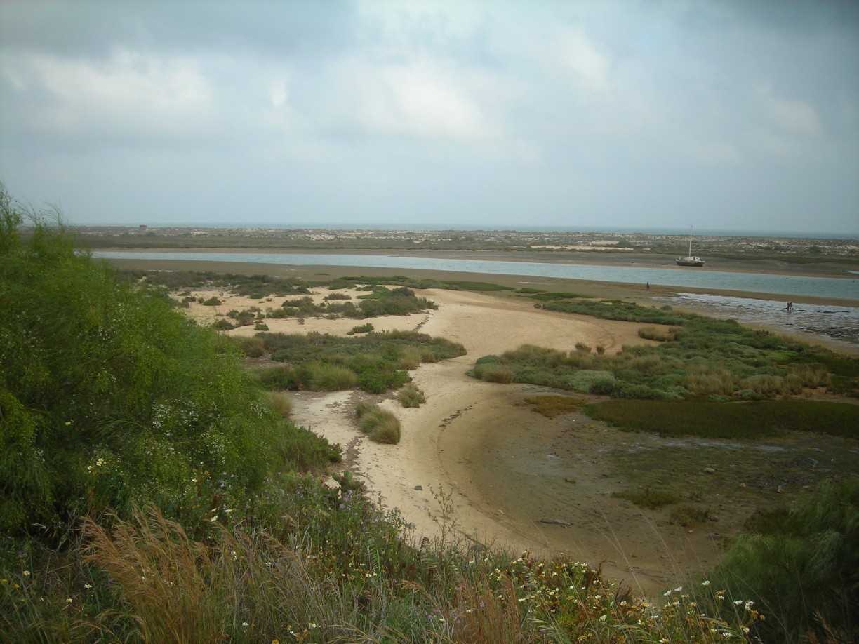 DSCN1705.jpg