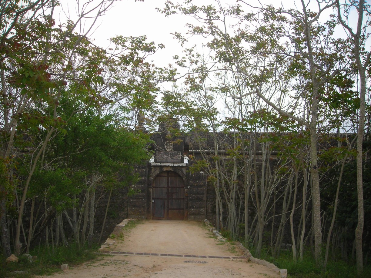 DSCN1709.jpg