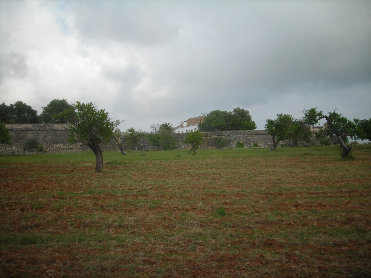 DSCN1711.jpg