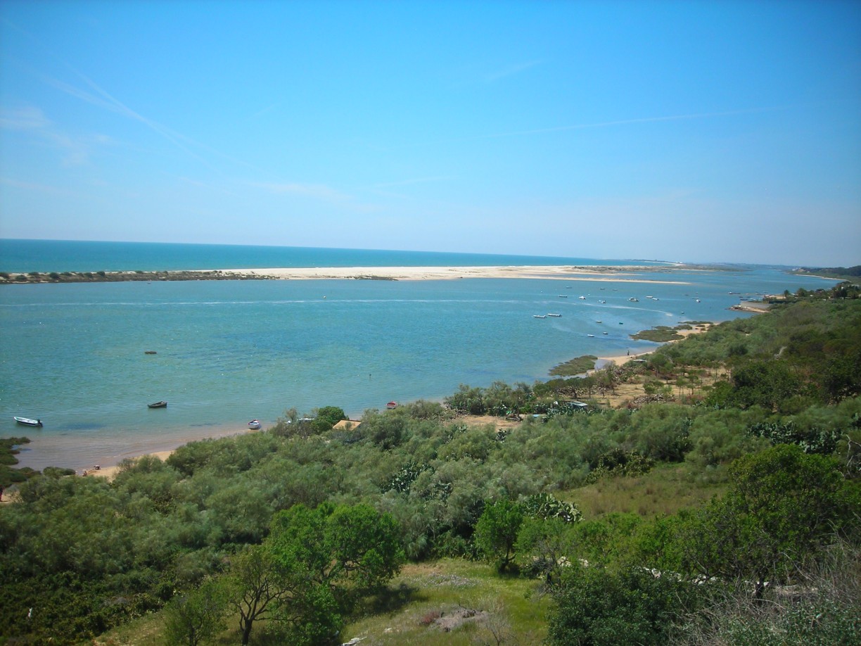 DSCN1716.jpg