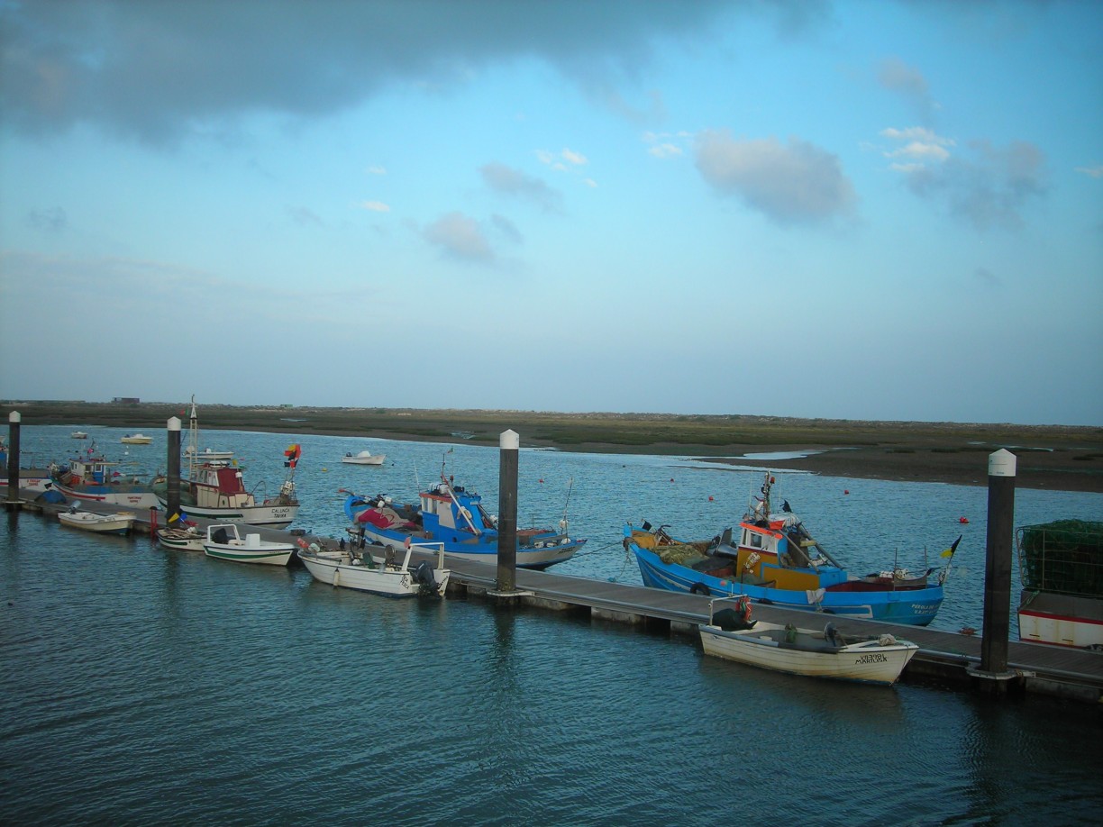 DSCN1729.jpg