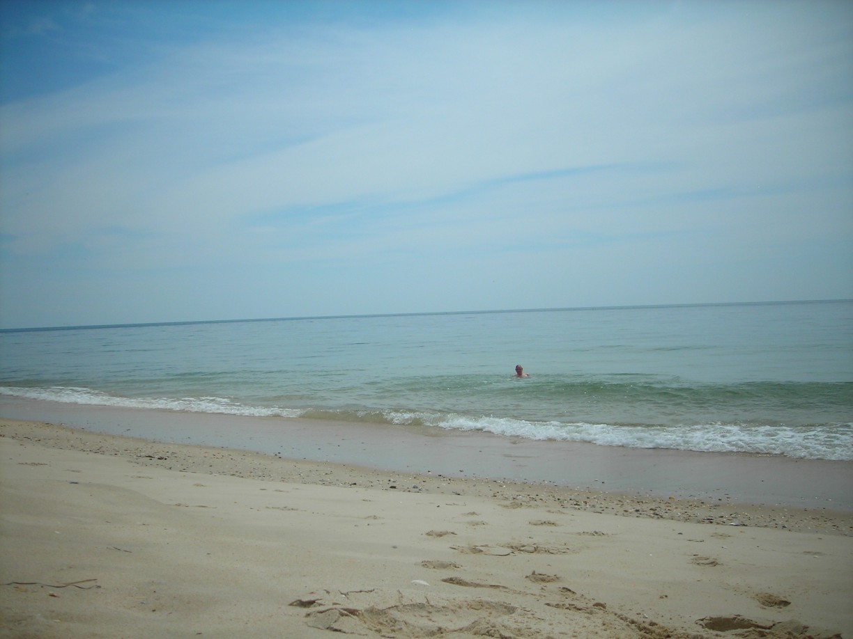 DSCN1733.jpg