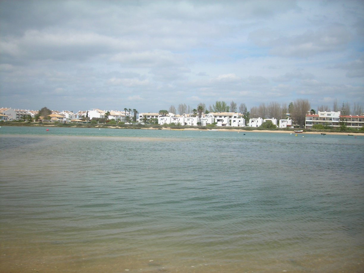 DSCN1734.jpg