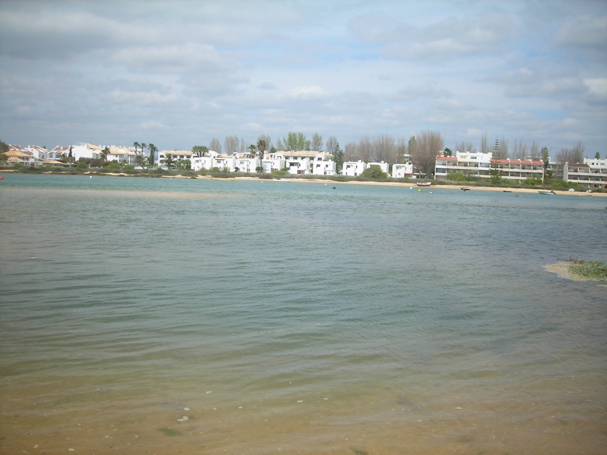 DSCN1735.jpg