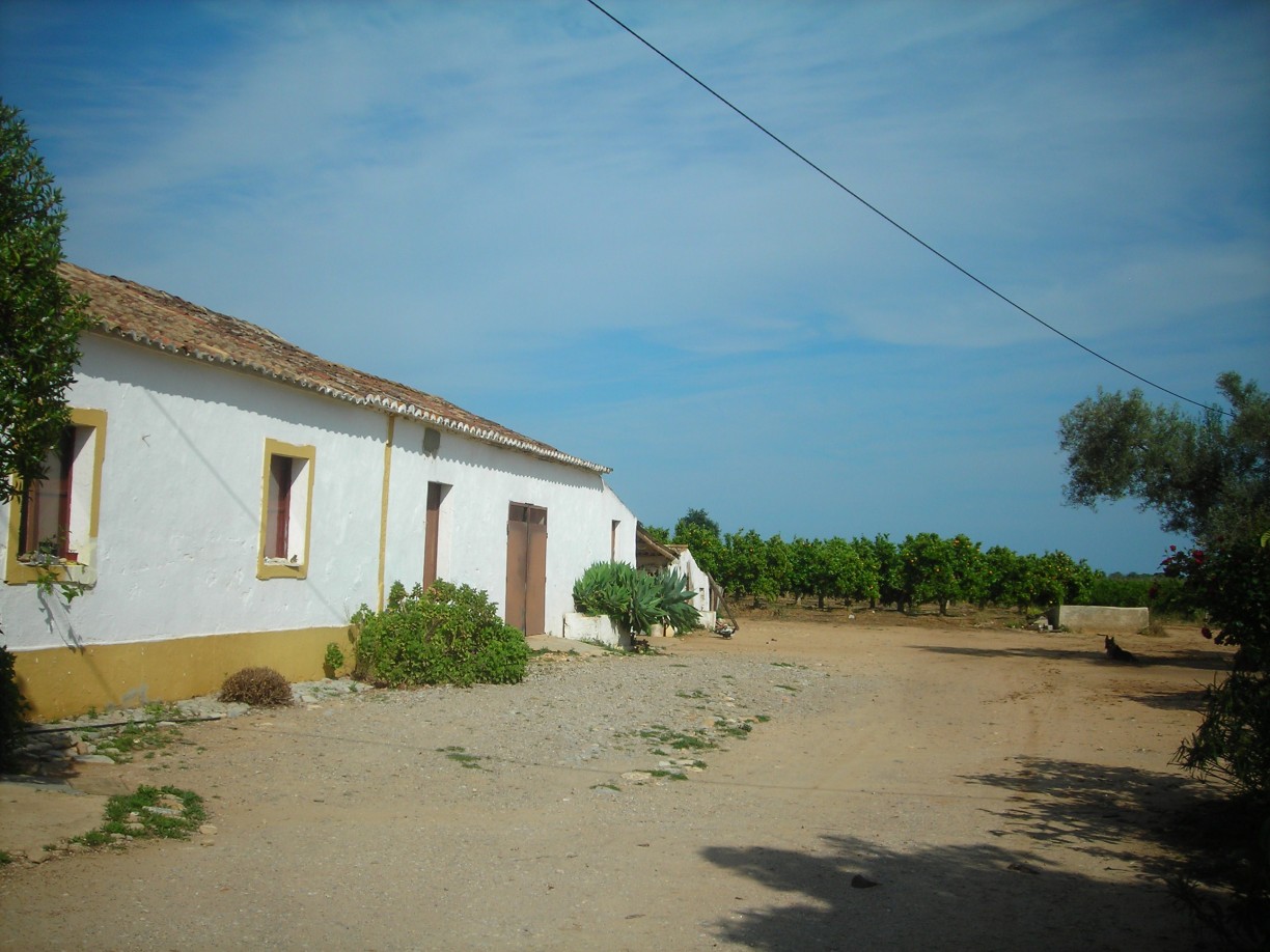 DSCN1737.jpg