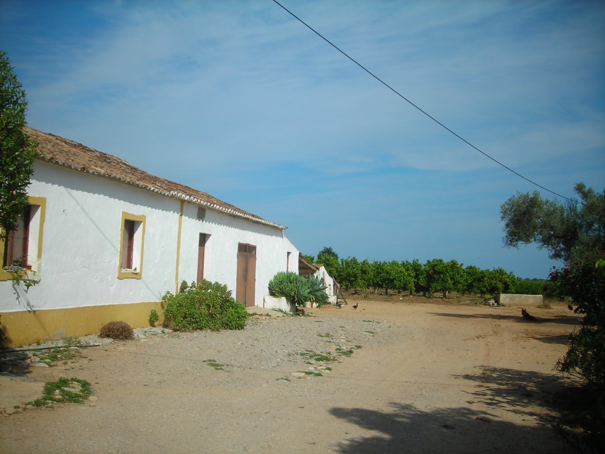 DSCN1738.jpg