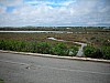 DSCN1690.jpg DSCN1690.jpg