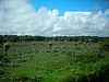 DSCN1693.jpg DSCN1693.jpg