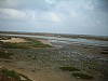 DSCN1703.jpg DSCN1703.jpg
