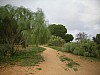 DSCN1707.jpg DSCN1707.jpg