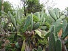 DSCN1708.jpg DSCN1708.jpg