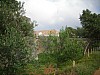 DSCN1710.jpg DSCN1710.jpg