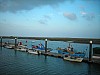 DSCN1729.jpg DSCN1729.jpg