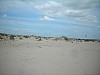 DSCN1730.jpg DSCN1730.jpg