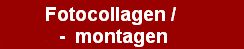 collagen-montagen